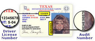 Dps Audit Number On Temporary License